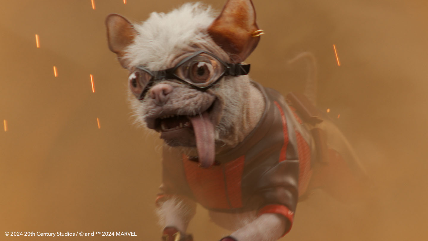 Dogpool with visually enhanced eyes