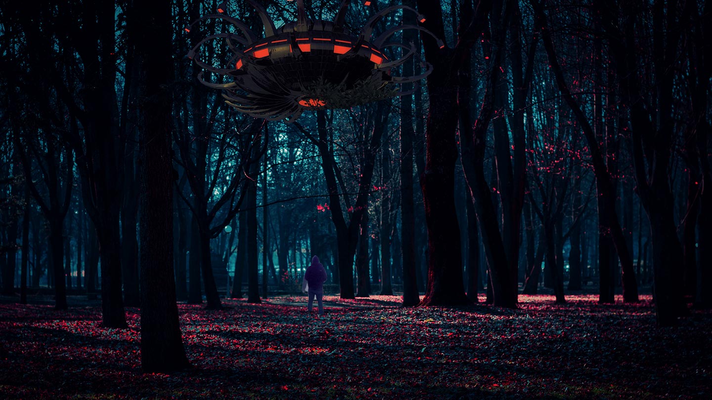 UFO in the forest in AR