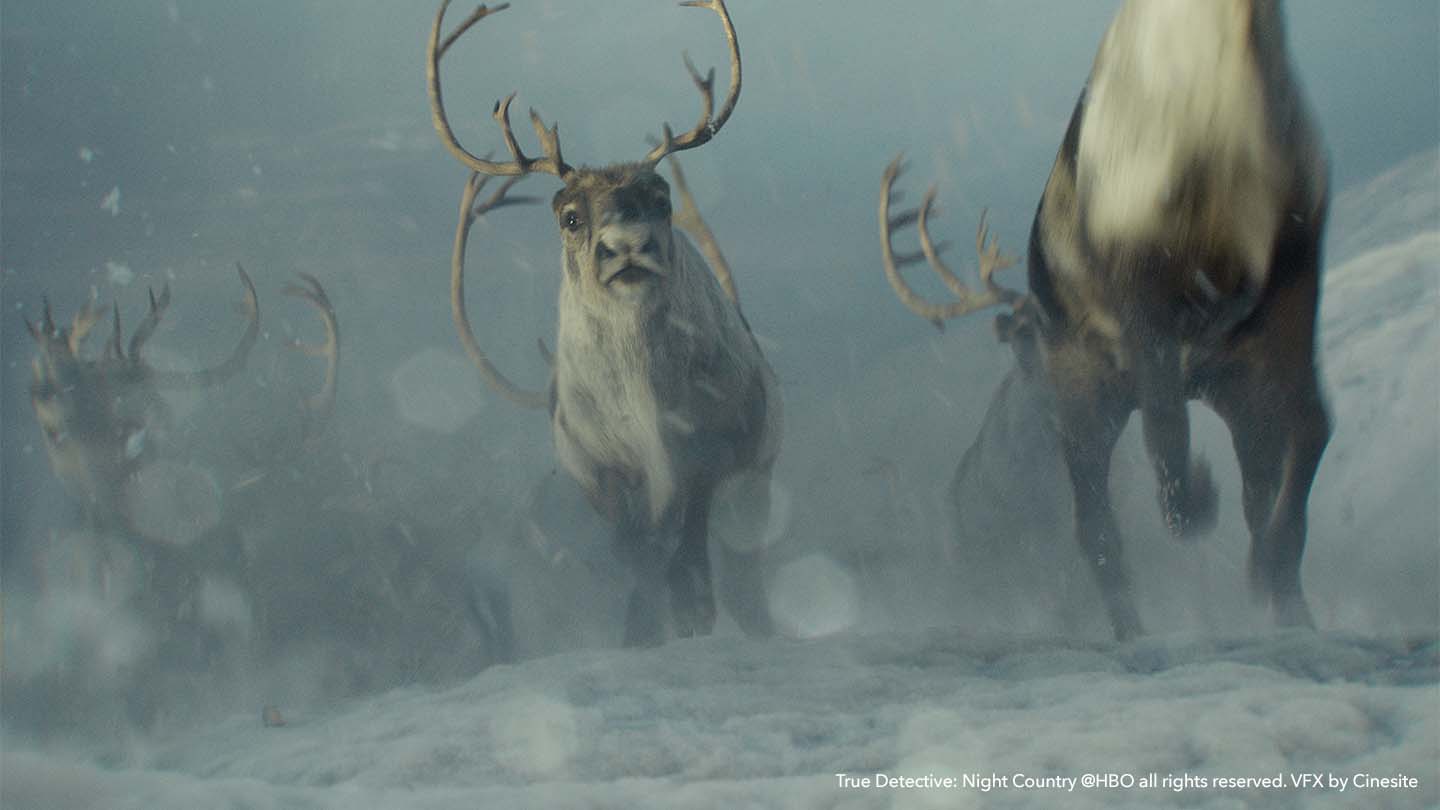 A herd of CG caribou galloping and jumping in True Detective: Night Country