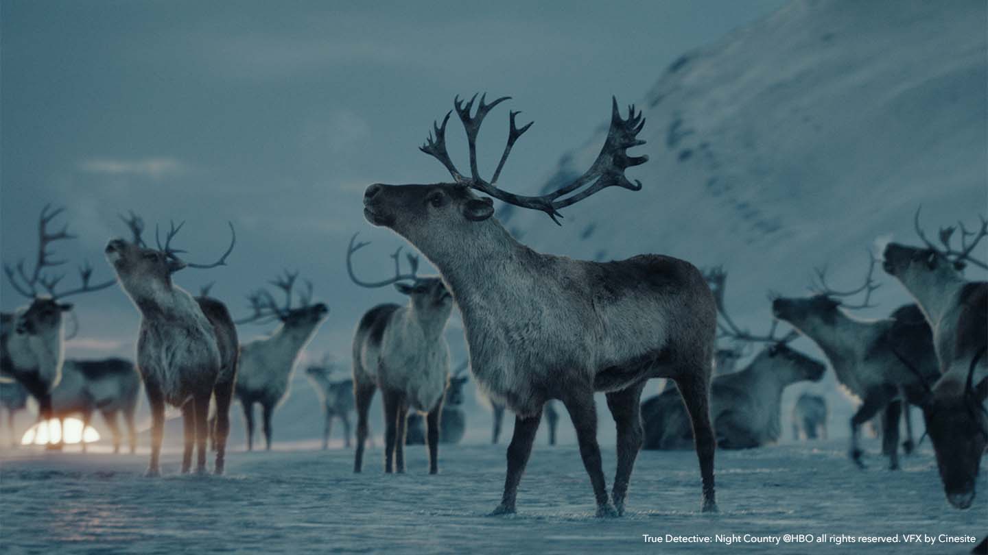 A herd of CG caribou in True Detective: Night Country