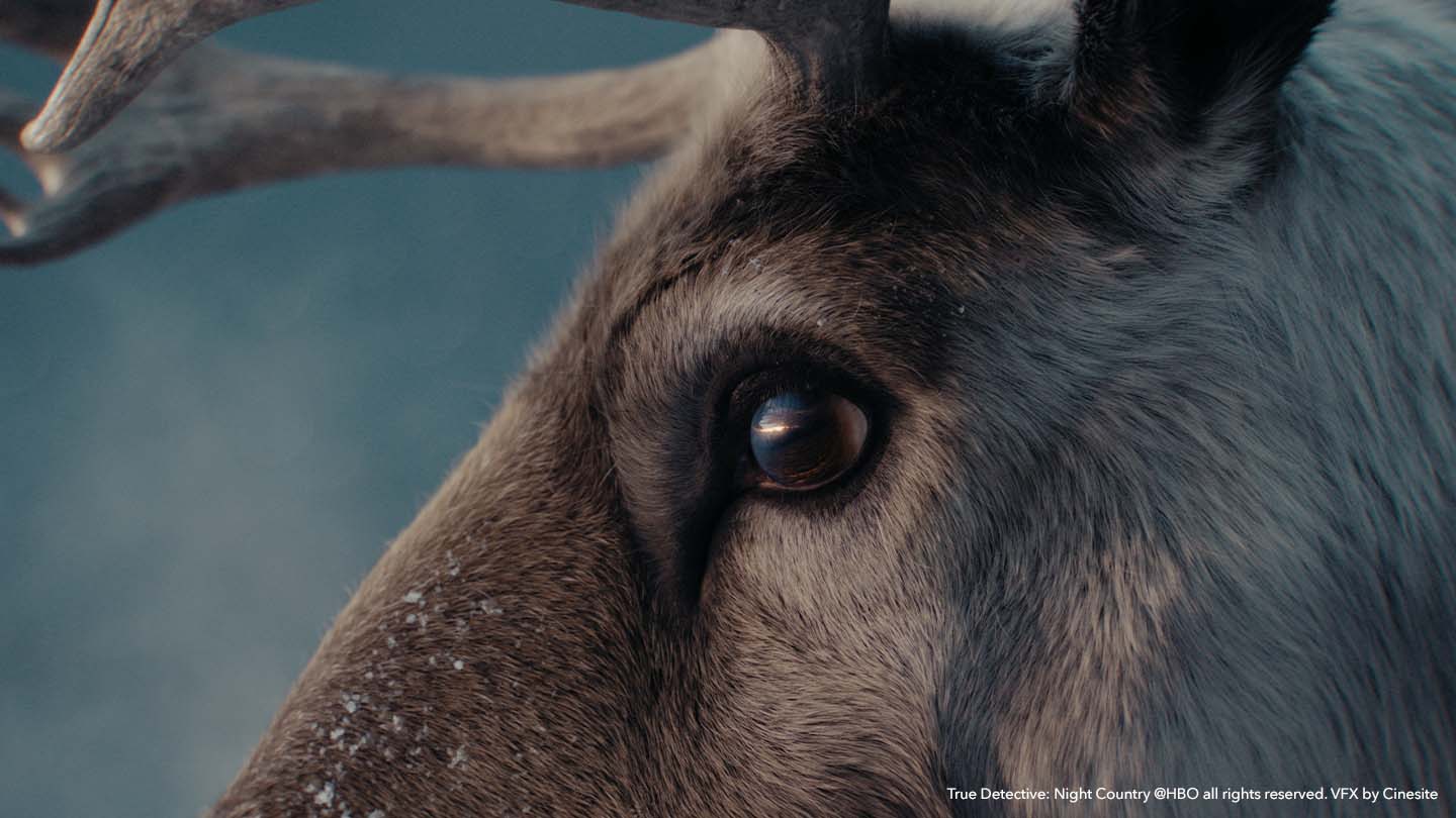 Close-up of CG caribou eye in True Detective: Night Country