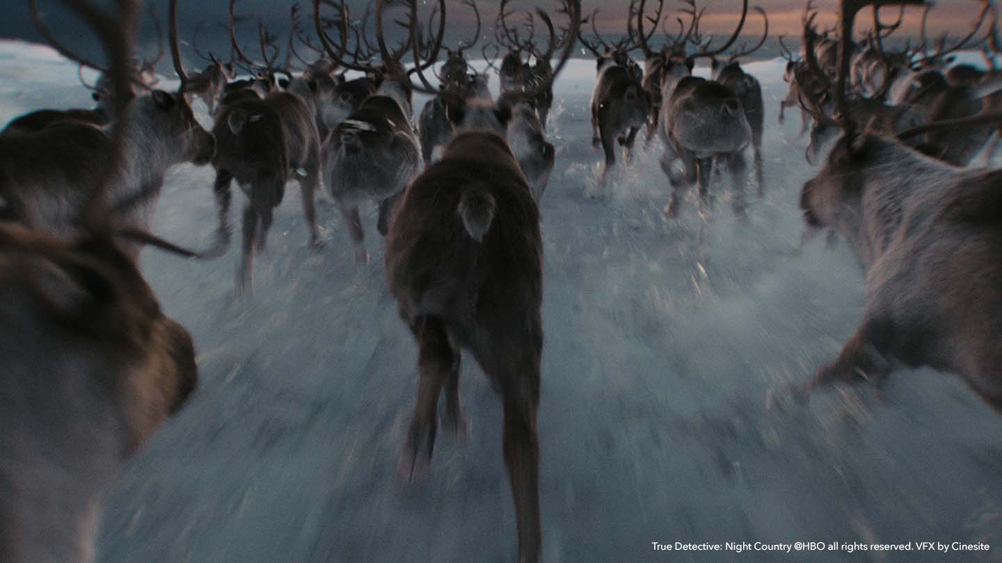 A galloping herd of CG caribou in True Detective: Night Country