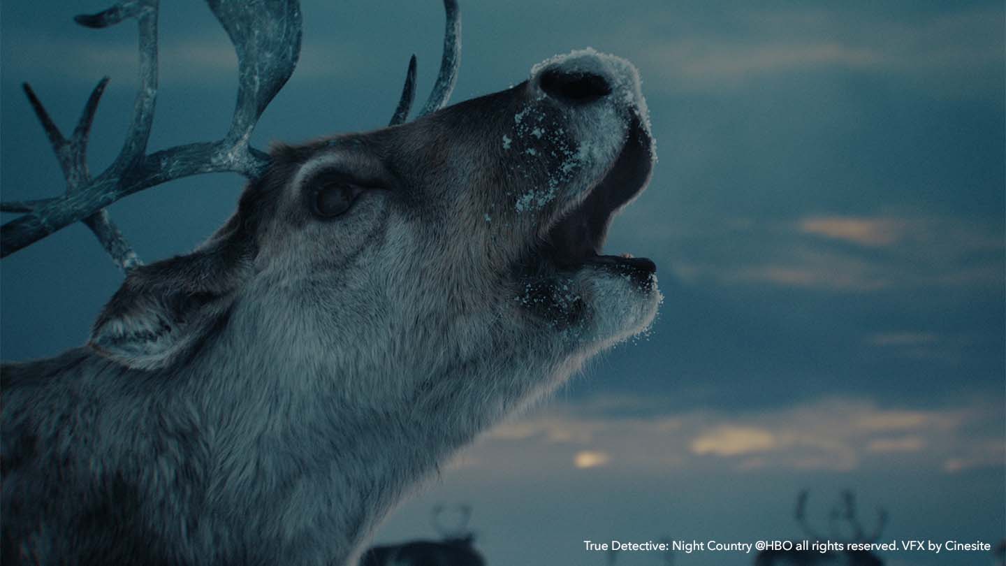 Close-up of a CG caribou in True Detective: Night Country