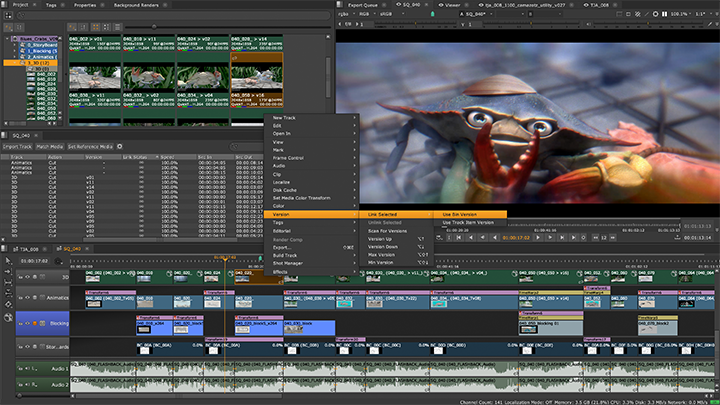 Bin and Track item Version Linking