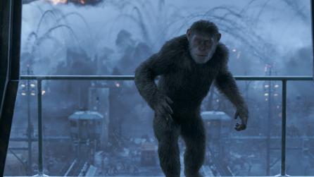 War of Apes