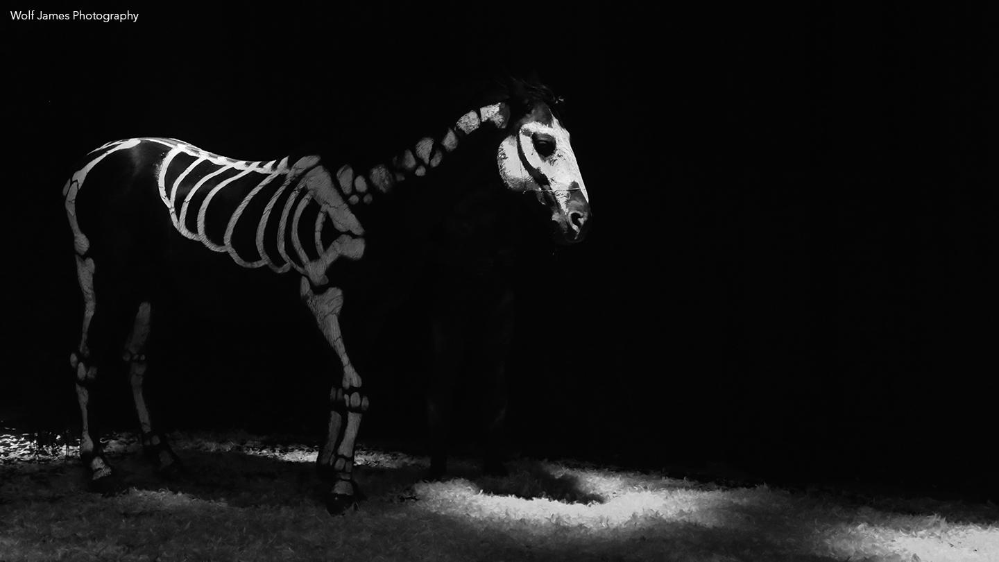 Cara VR for virtual reality music video