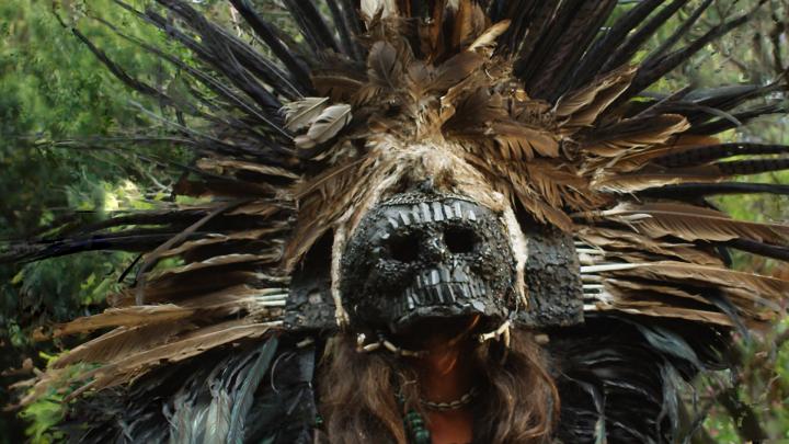 Ocula color and focus image