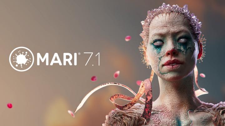 Mari 7.1 header