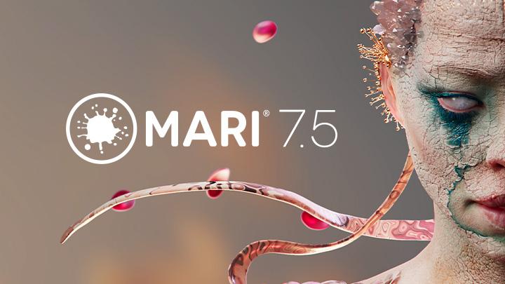 Mari 7.5 New block image